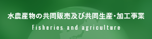 水農産物の共同販売及び共同生産･加工事業